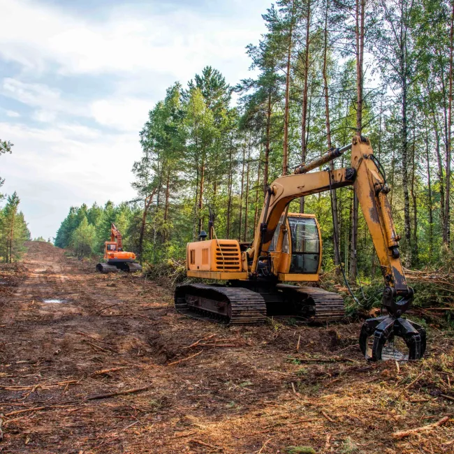 Fachthema Entwaldung Bild mit Wald und einem Bagger