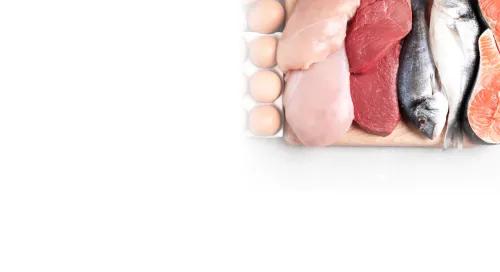 Fachthema lebensmittel_tierischer_herkunft v6